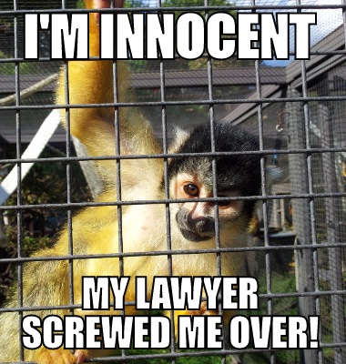 I'm innocent my lawyer screwed me over!