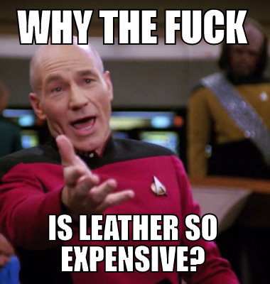 Why the fuck is leather so expensive?