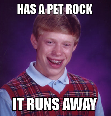 has a pet rock it runs away