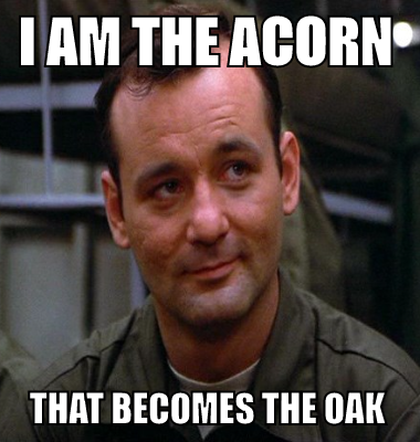 I am the acorn that becomes the oak