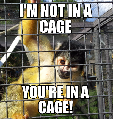 I'm not in a cage you're in a cage!
