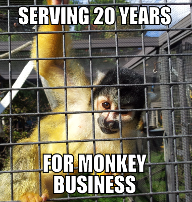 Serving 20 years For monkey business