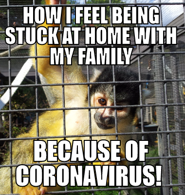 How I feel being stuck at home with my family because of Coronavirus!
