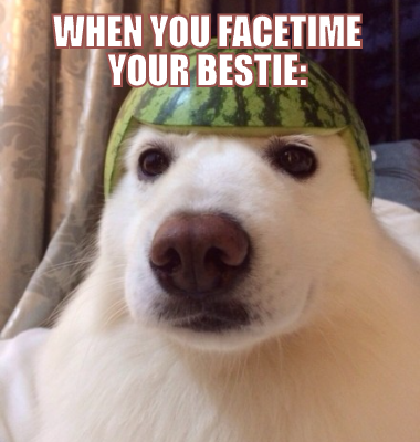 when you facetime your bestie: 