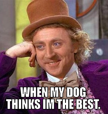  When my dog thinks im the best.