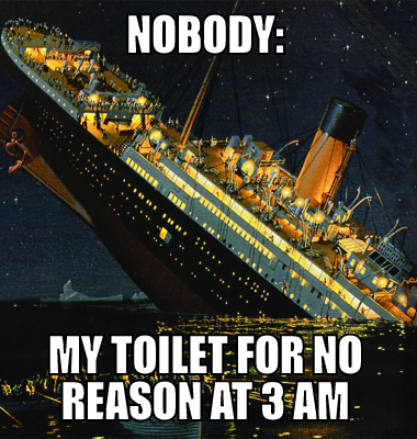 nobody: my toilet for no reason at 3 am